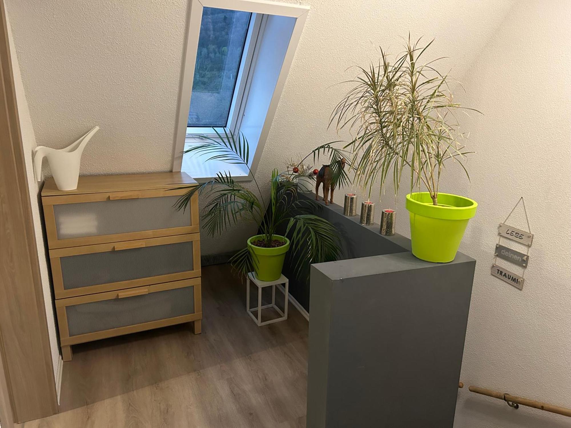 Ferienhaus Ayna, Direkt An Der Schweizer Grenze Bad Sackingen Bagian luar foto